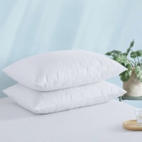 Quilted Goose Feather Down Pillow Set of 2