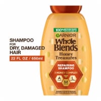Garnier Whole Blends Honey Treasures Shampoo