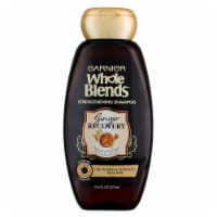 Garnier Whole Blends Ginger Recovery Shampoo