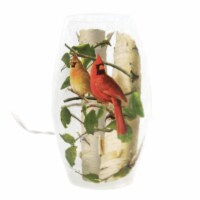 Stony Creek Summer Cardinals Med Vase Electric Light Birds Birch Tree Hba0205
