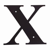 6.31 Inch Letter X Small