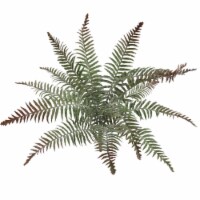 Artificial All Weather Boston Fern (15 Fronds)-22  2 Pieces