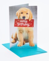 American Greetings #30 Birthday Card (Puppy)