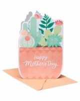 American Greetings #61 Mother's Day Card (Potted Succulents) Perspective: Main