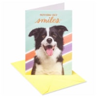 American Greetings Birthday Card - Nothing But Smiles (#39) Perspective: Main