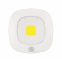 Fulcrum Products Ultra-Bright Motion Sensor Ceiling Light - White Perspective: Main