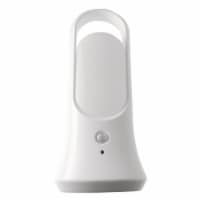 Fulcrum Products Rechargable LED Smart Light - White Perspective: Main