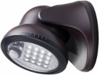 Fulcrum Products LED Porch Light