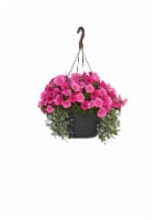 Fresh Blooming Pink Flowers in Hanging Basket - 12 inch container Perspective: Main