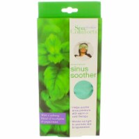 DreamTime Aromatherapy Spa Comforts Microwavable Sinus Soother Mask, Eucalyptus & Peppermint