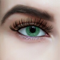 BOGO Deal: PoshPrissySnobDolls 3D Hand Made Mink Lashes 5th Ave