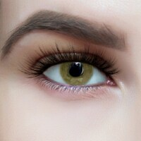 BOGO Deal: PoshPrissySnobDolls 3D Hand Made Mink Lashes Off Limits