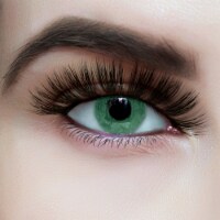 BOGO Deal: PoshPrissySnobDolls 3D Hand Made Mink Lashes Ken Doll