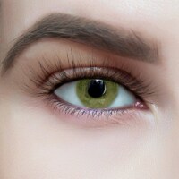 BOGO Deal: PoshPrissySnobDolls 3D Hand Made Mink Lashes Life of the Party