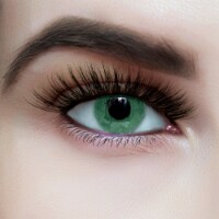 BOGO Deal: PoshPrissySnobDolls 3D Hand Made Mink Lashes Nobody Wants Me