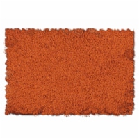 Scenic Express SEX876B F&T Burnt Orange Fine - 32 oz