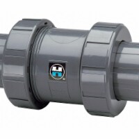 Hayward Union Check Valve,CPVC,2 ,FNPT x Socket TC20200STE