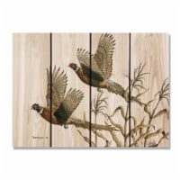 Day Dream HQ DBLT2216 22 x 16 in. Bartholets Long Tails Inside & Outside wood Wall Art