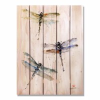 Day Dream HQ DCTD2836 28 x 36 in. Crousers Three Dragonflies Inside & Outside wood Wall Art