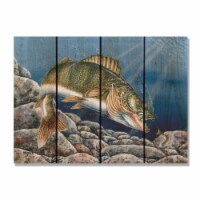 Day Dream HQ DBWA2216 22 x 16 in. Bartholets Walleye Inside & Outside wood Wall Art