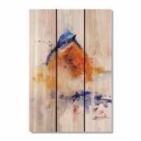 Day Dream HQ DCBB1624 16 x 24 in. Crousers Baby Bluebird Inside & Outside wood Wall Art
