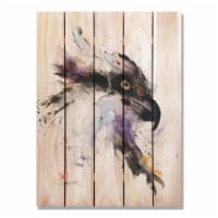 Day Dream HQ DCFH2836 28 x 36 in. Crousers Fish Hawk Inside & Outside wood Wall Art