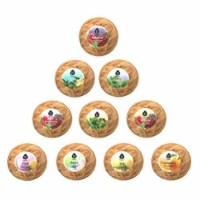 PURSONIC BBGS10 Natural & Organic Handmade Bath Bomb Gift Set  Pack of 10