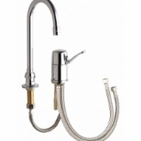 Chicago Faucet Gooseneck,Chrome,Chicago Faucets,2302  2302-E73ABCP