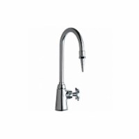 Chicago Faucet Gooseneck,Chrome,Chicago Faucets,1.0gpm  969-CTF