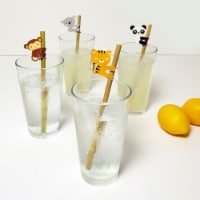 Set of Straws