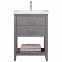 Design Element Group Cara 24  Single Sink Vanity in Gray