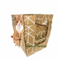 Cats Desire Disposable Litter Boxes Biodegradable Extra Large 3 Pack