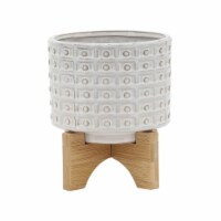 Ceramic 6  Dotted Planter W/Wood Stand, Ivory