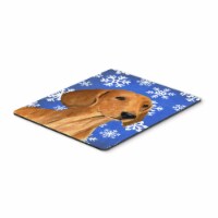Caroline'sDachshund Winter Snowflakes  Pad/Hot Pad/Trivet (SS4625MP)