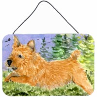Carolines Treasures SS8910DS812 Norwich Terrier Wall or Door Hanging Prints