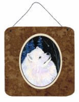 Carolines Treasures SS8376DS66 Starry Night Samoyed Wall or Door Hanging Prints