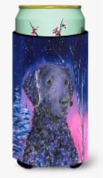Carolines Treasures  SS8354TBC Starry Night Curly Coated Retriever Tall Boy Hugg