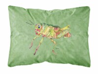 Carolines Treasures 8848PW1216 Grasshopper on Avacado Canvas Fabric Decorative