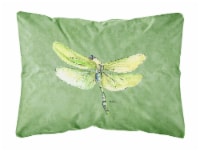 Carolines Treasures 8864PW1216 Dragonfly on Avacado Canvas Fabric Decorative Pi