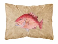 Carolines Treasures  8812PW1216 Strawberry Snapper Canvas Fabric Decorative Pill Perspective: Main