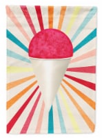 Carolines Treasures SB3103GF Cherry Snowball Snow Cone Flag Garden Size