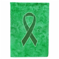Carolines Treasures AN1220CHF Kelly Green Ribbon for Kidney Cancer Awareness Ho
