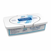 Flush Away Adult Adult Wipe or Washcloth 9 x 13 1321, 1 Pack 60 Wipes