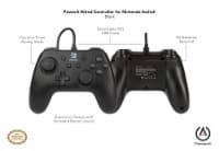Nintendo Switch Wired Controller Perspective: Main