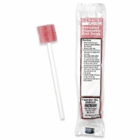 Toothette 6 Inch Length Oral Swabstick with Pink Foam Tip 5602UT, 250 Ct
