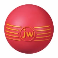 JW Pet Medium Squeaky Ball Toy