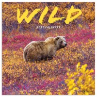 TF Publishing 2020 Wild Wall Calendar Perspective: Main
