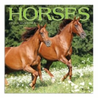 TF Publishing 2021 Wall Calendar – Horses Perspective: Main