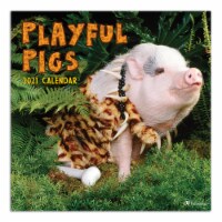 TF Publishing Playful Pigs 2021 Wall Calendar Perspective: Main