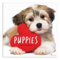TF Publishing 2021 Wall Calendar – Puppies Perspective: Main